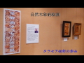 木象嵌の絵画   “タラセアの世界”     星野 尚　in Amagasaki.mp4