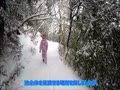 雪山探検隊（百紫池→六観音池への遊歩道編） 2021.1