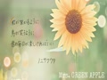 〇 F枠 〇 ノニサクウタ / Mrs. GREEN APPLE　by うさき🐰